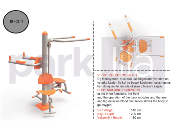 B-21 VÜCUT GELİŞTİRME